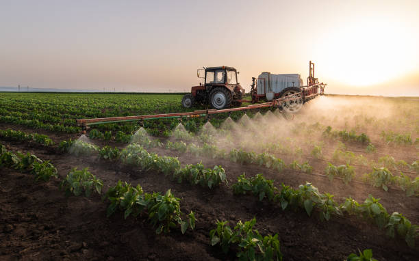 Best Commercial Pest Control Services  in Pullman, WA