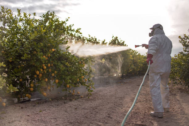 Best Flea Control Services  in Pullman, WA