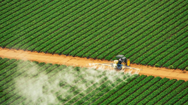 Best Mosquito Control Services  in Pullman, WA